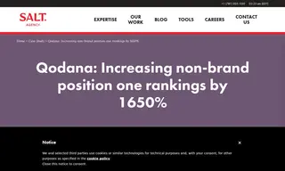 Preview of the JetBrains Case Study
