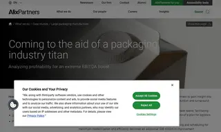 Preview of the Large Packaging Manufacturer Case Study
