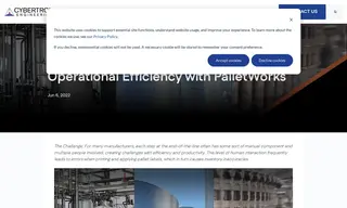 Preview of the Mark Anthony Brewing Case Study