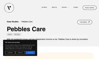 Preview of the Pebbles Care Case Study