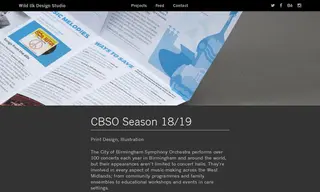 Preview of the City of Birmingham Symphony Orchestra Case Study