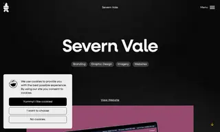 Preview of the Severn Vale Home Care Case Study