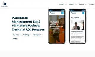 Preview of the Pegasus Case Study