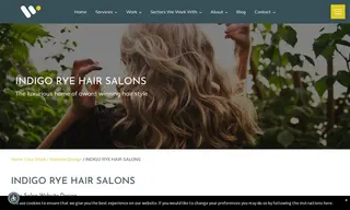 Preview of the Indigo Rye Ltd Case Study