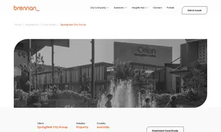 Preview of the Springfield City Group Case Study