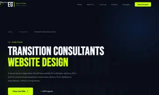 Preview of the Transition Consultants Case Study