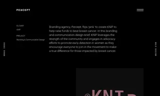 Preview of the Knip Case Study