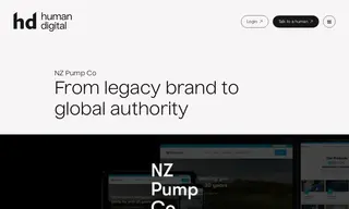 Preview of the NZ Pump Co Case Study