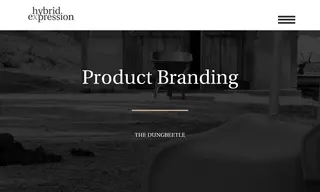 Preview of the The Dungbeetle Case Study