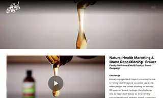 Preview of the Brauer Case Study