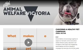 Preview of the Animal Welfare Victoria Case Study