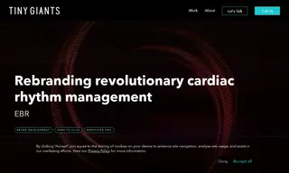 Preview of the EBR Systems Case Study