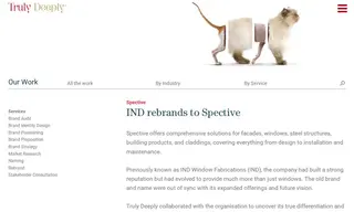 Preview of the Spective Case Study