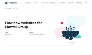 Preview of the Mantel Group Case Study