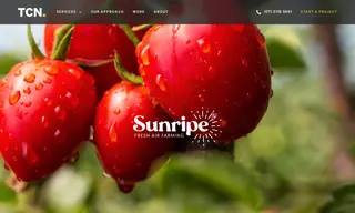 Preview of the Sunripe Case Study