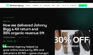 Preview of the Johnny Bigg Case Study