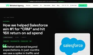 Preview of the Salesforce Case Study