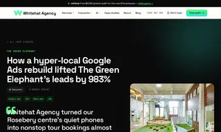Preview of the The Green Elephant Case Study
