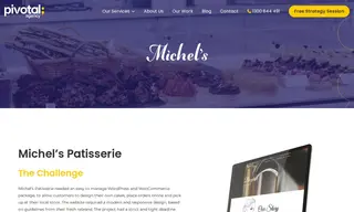 Preview of the Michel's Case Study