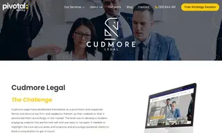 Preview of the Cudmore Legal Case Study