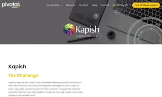 Preview of the Kapish Case Study