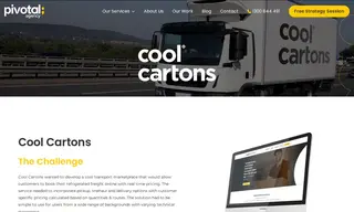 Preview of the Cool Cartons Case Study