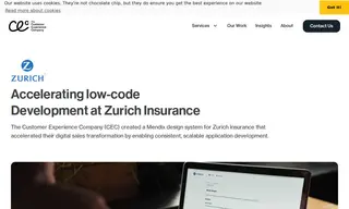 Preview of the Zurich Insurance Case Study