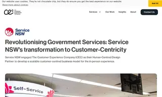 Preview of the Service NSW Case Study