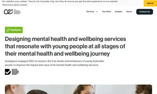 Preview of the Headspace (Australia's National Youth Mental Health Foundation) Case Study