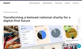 Preview of the St Vincent De Paul Case Study