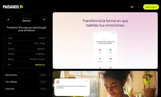 Preview of the Zerenly Case Study