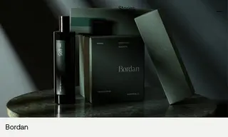 Preview of the Bordan Case Study