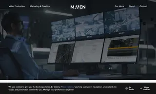 Preview of the Dynamic Risk Case Study