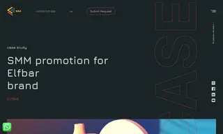 Preview of the Elfbar Case Study
