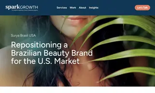 Preview of the Surya Brasil Case Study