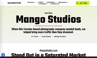 Preview of the Mango Studios Case Study