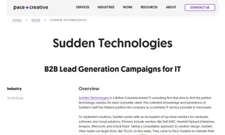 Preview of the Sudden Technologies Case Study