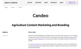 Preview of the Candeo Case Study