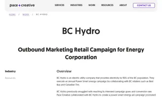 Preview of the BC Hydro Case Study
