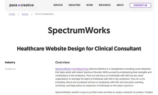 Preview of the SpectrumWorks Consulting Group Case Study