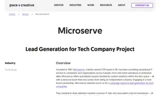 Preview of the MicroServe Consulting Case Study