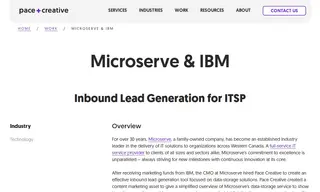Preview of the MicroServe Consulting Case Study