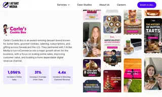 Preview of the Carla’s Cookie Box Case Study