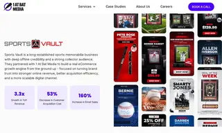 Preview of the Sports Vault Case Study