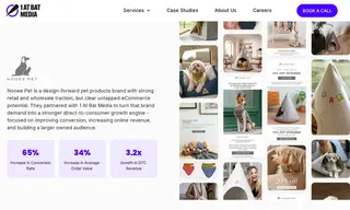 Preview of the Nooee Pet Case Study