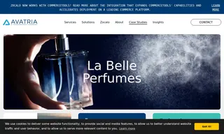 Preview of the La Belle Perfumes Case Study