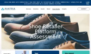 Preview of the Zocalo Case Study