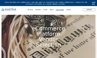 Preview of the Zocalo Case Study
