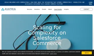 Preview of the Zocalo Case Study