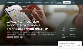 Preview of the Zwilling Case Study